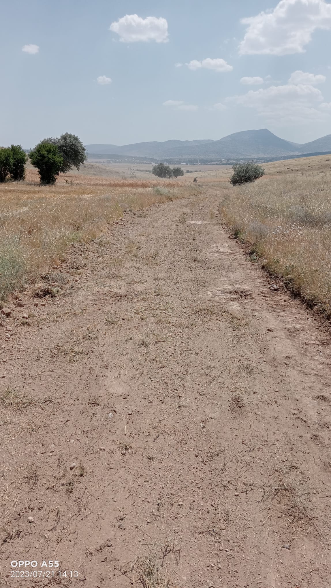TÜLCE MAHALLESİ YENİ ÇEŞME MEVKİİNDE ARAZİ YOLU DÜZENLEME ÇALIŞMALARI YAPILMIŞTIR!
